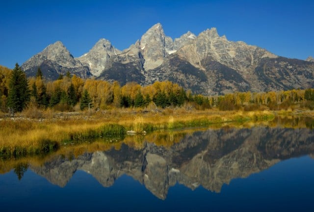  lähde: Karen Bleier/Getty Images