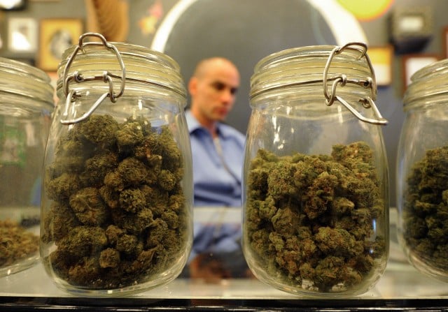 Jars full of medical marijuana