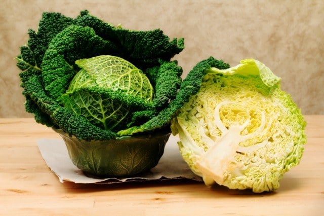 savoy cabbage