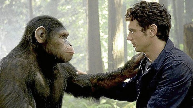 Communication Error: Why Your Boss Talks to You Like an Animal