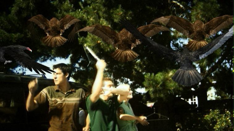 Three boys fight off birds with coat hangars