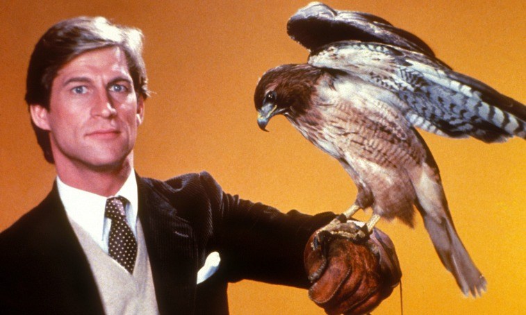 Dr. Jonathan Chase tiene un falco sul braccio