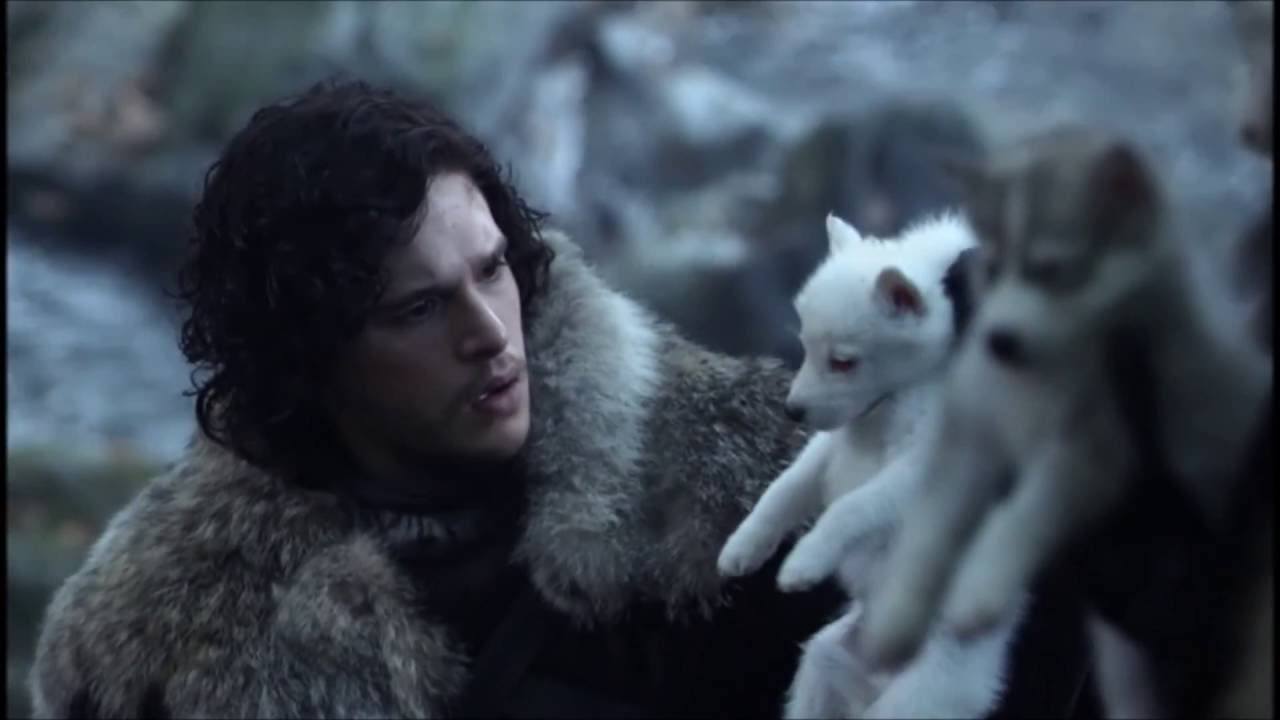 husky game of thrones