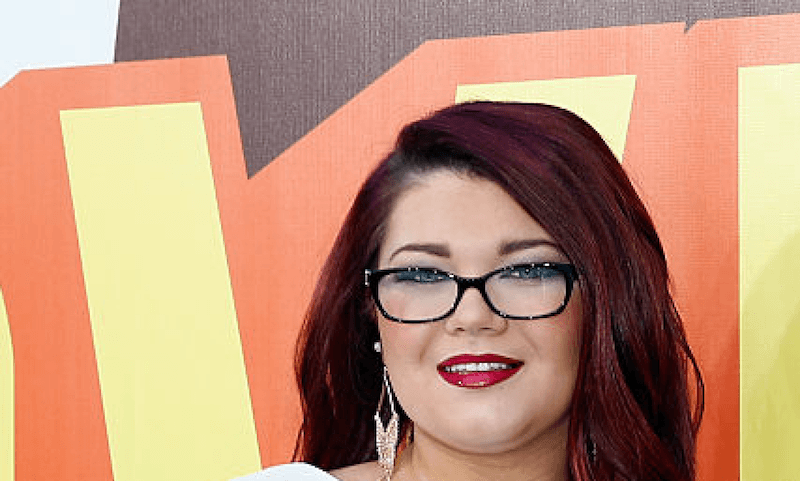 What Will Amber Portwood Do For Work If She Quits Teen Mom Og