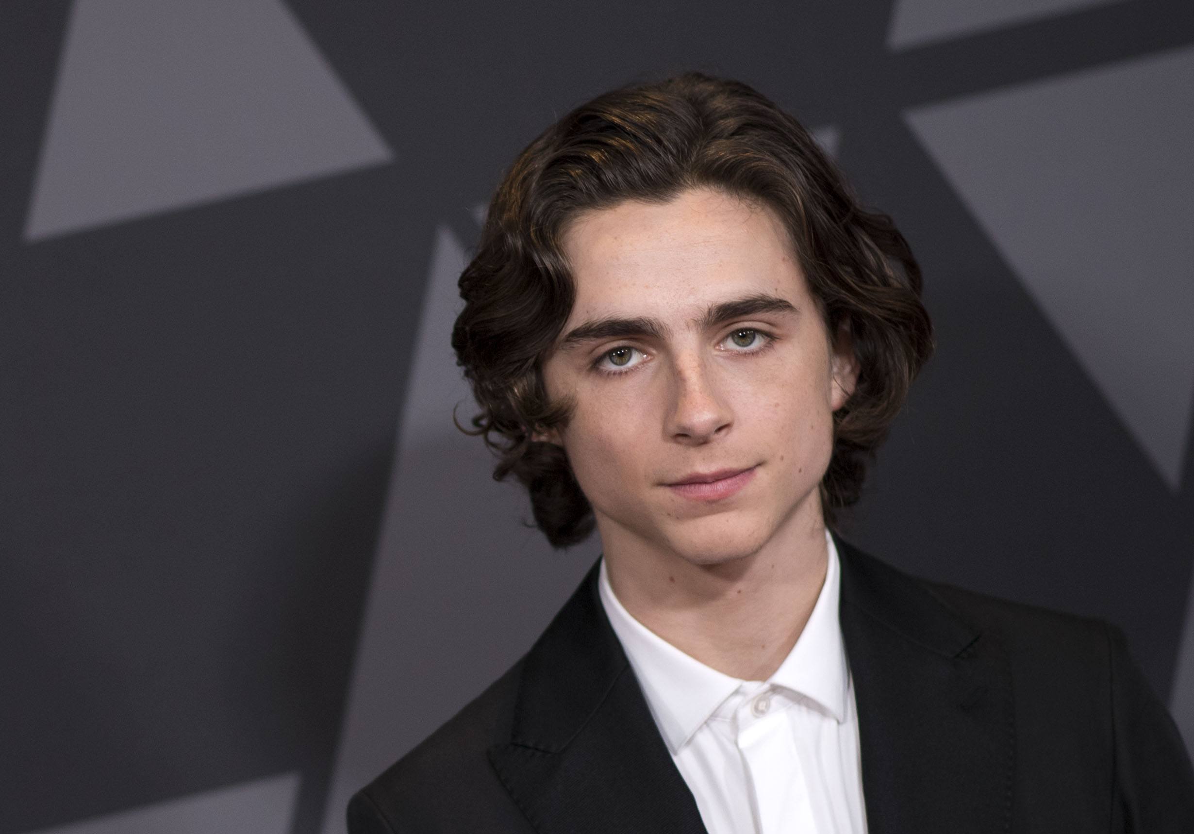 Timothée Chalamet Almost Played This Superhero In the MCU