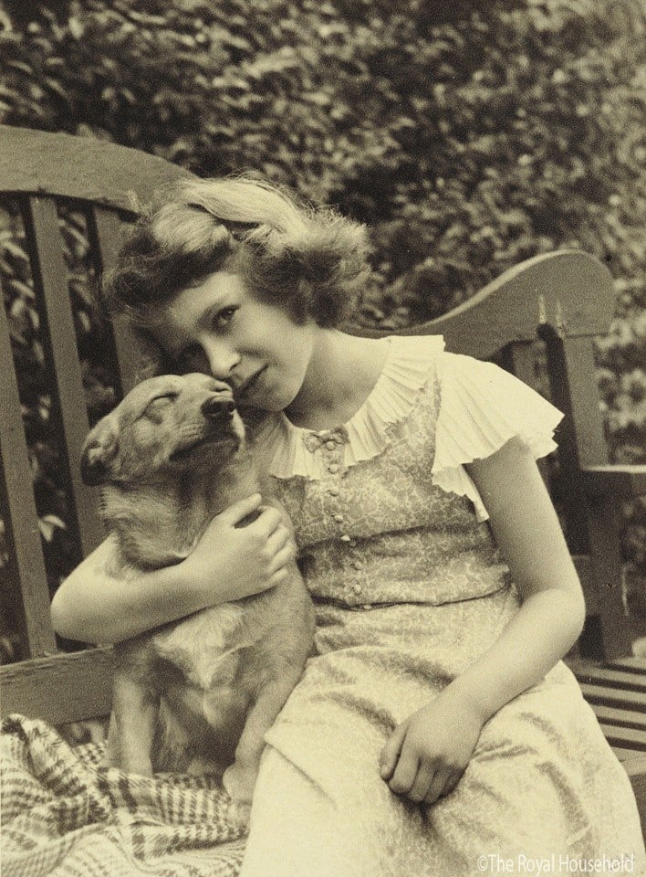 These Photos Reveal the Real Reason Why Queen Elizabeth II Loves Her  Favorite Dog Breed - Big World Tale