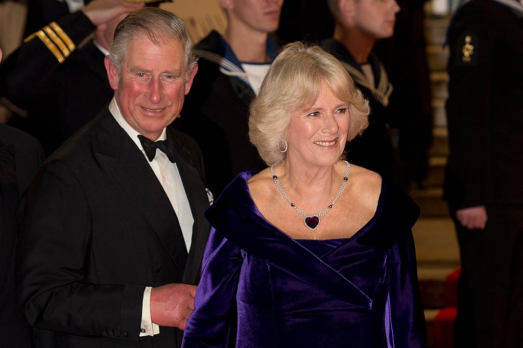 Was the Marriage Between Prince Charles and Princess Diana Arranged?