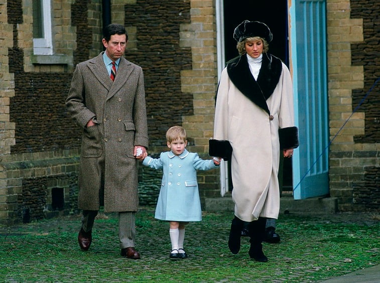 Did Princess Diana Think Prince Charles Was a Good Father?