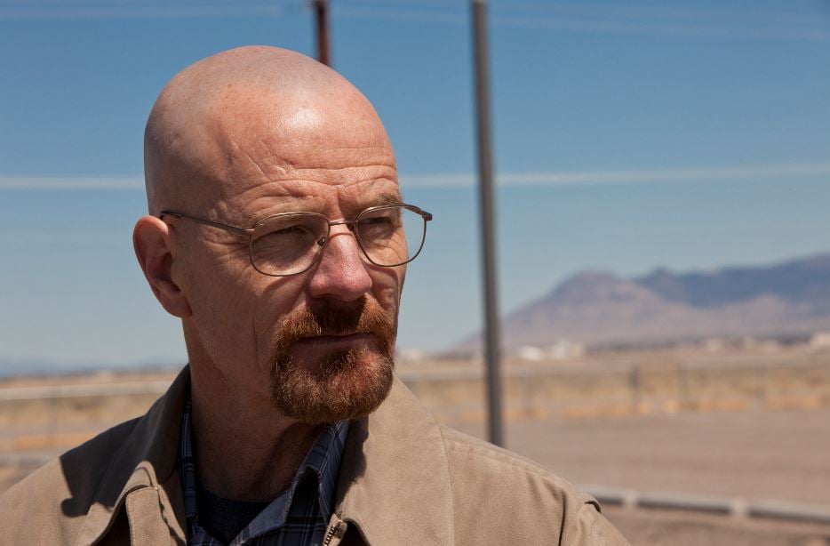 Breaking Bad': Bryan Cranston Wants Fans to Forget He Played