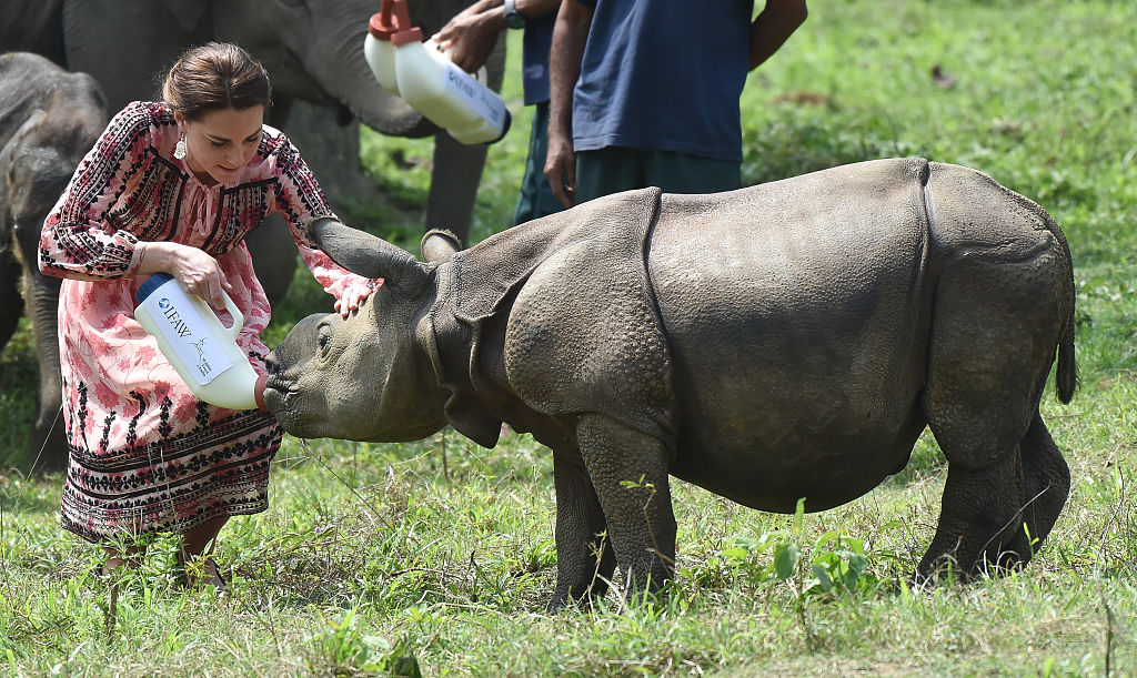 Kate Middleton: 8 Photos of the Duchess of Cambridge With Animals