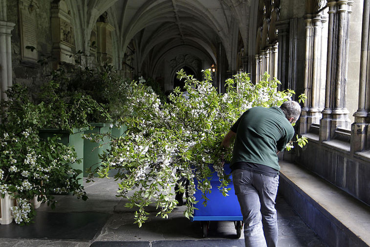 Florists deliver flowers to Westminster Abbey in preparation for William Kate's wedding in 2011