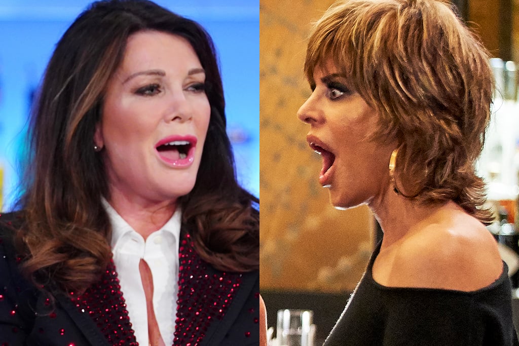 RHOBH' Star Lisa Rinna Seemingly Shades Vanderpump Dogs