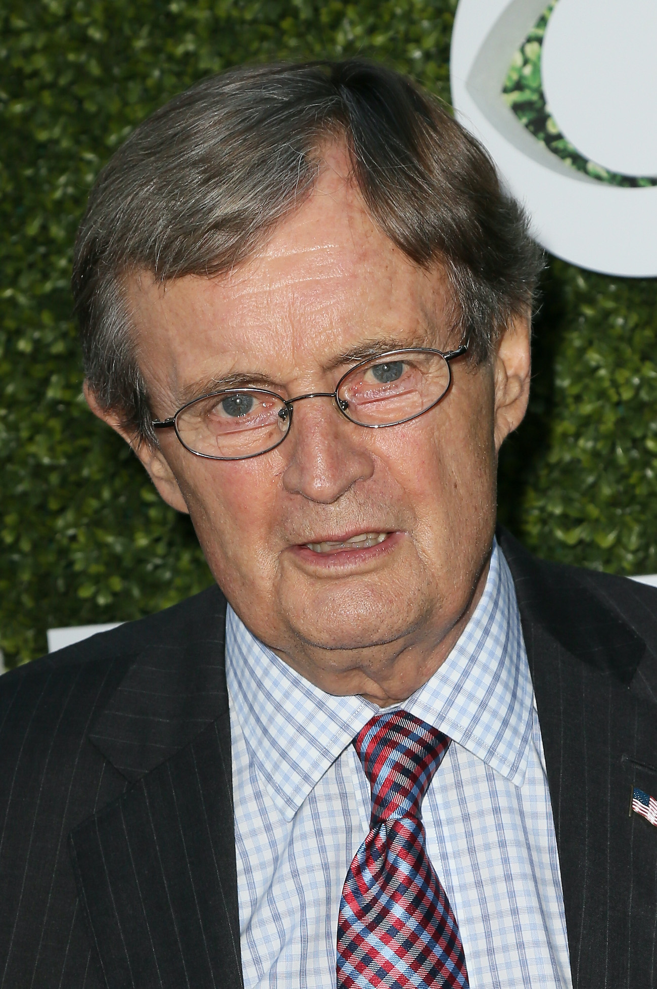 Why 'NCIS' Fans May Also Know David McCallum's Son, Val McCallum