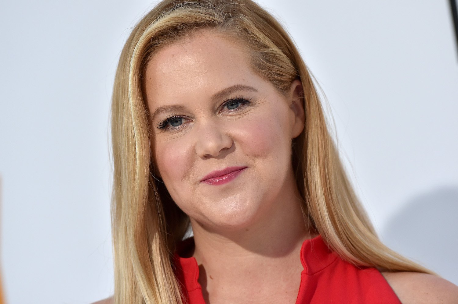 'Seinfeld': Amy Schumer Says Elaine Benes Was a Major Influence on Her ...