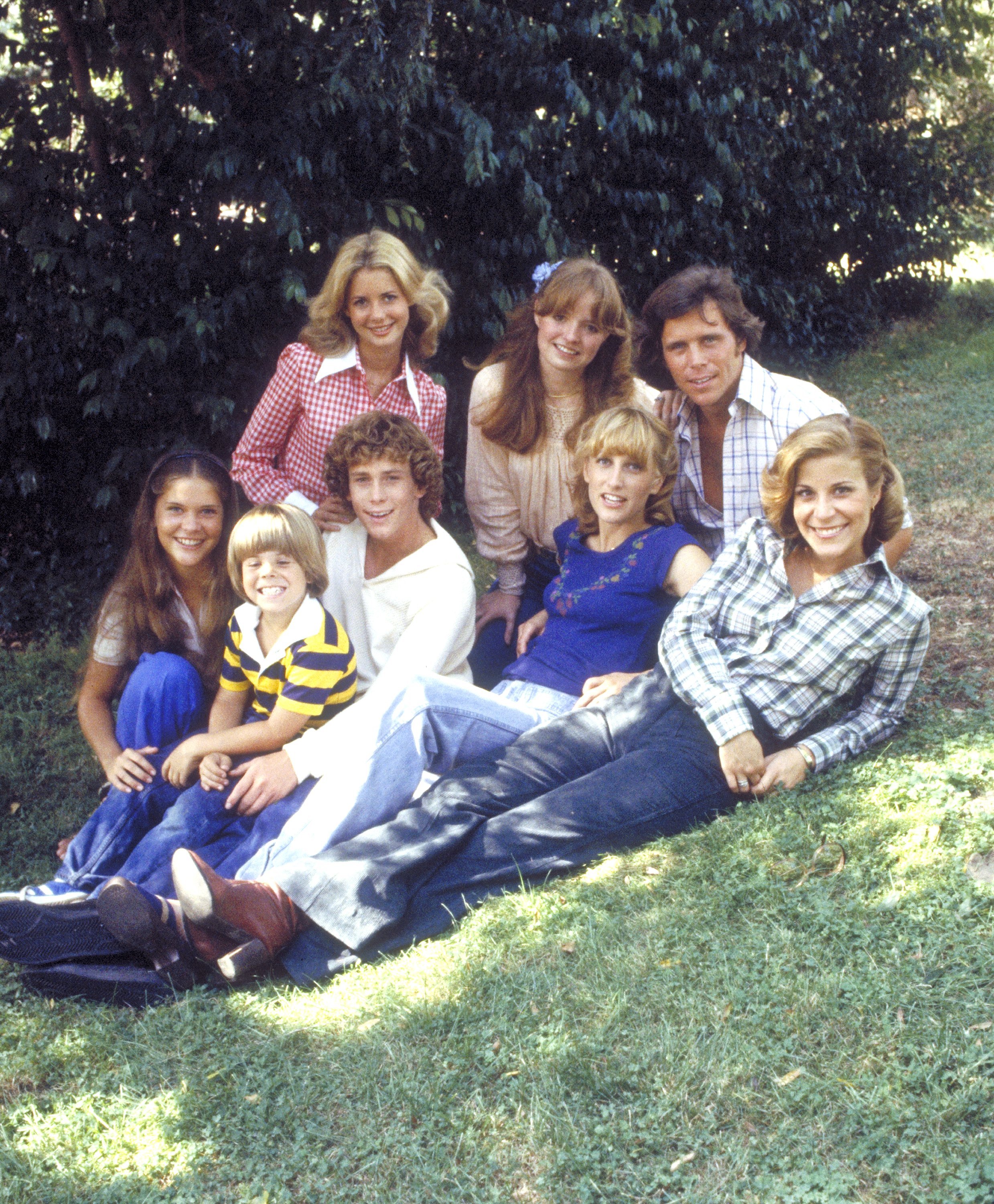 Mark Hamill Quit 'Eight Is Enough' For 2 Big Reasons: A Car Accident ...