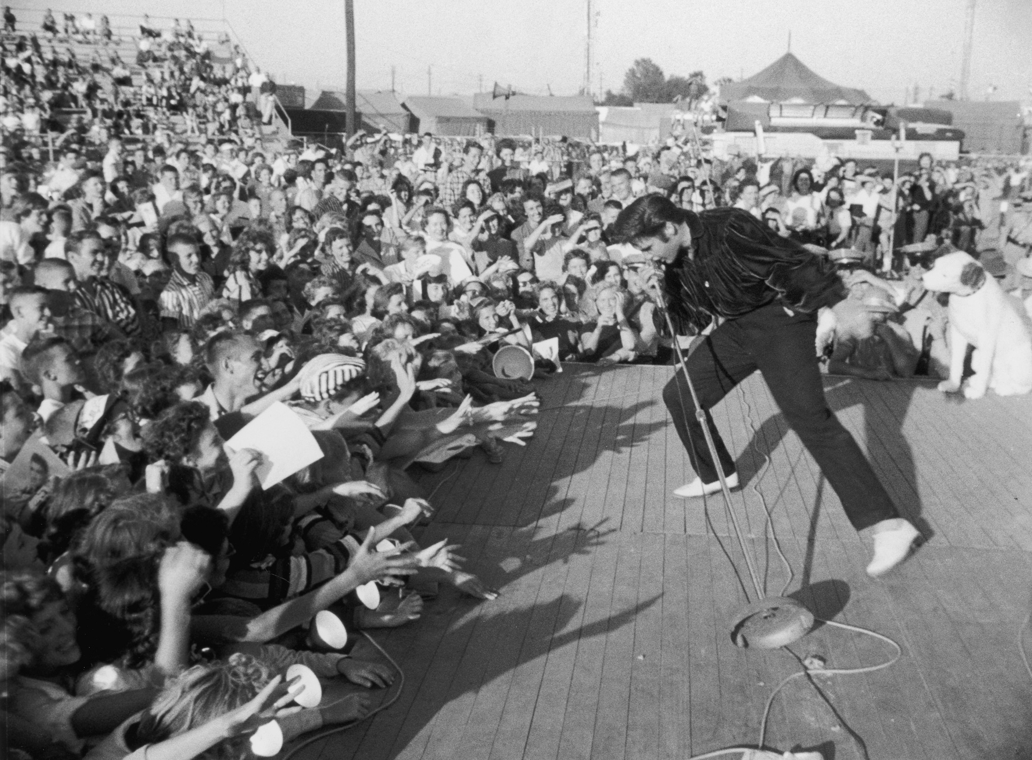 Elvis Presley performing to the adulation of a young crowd