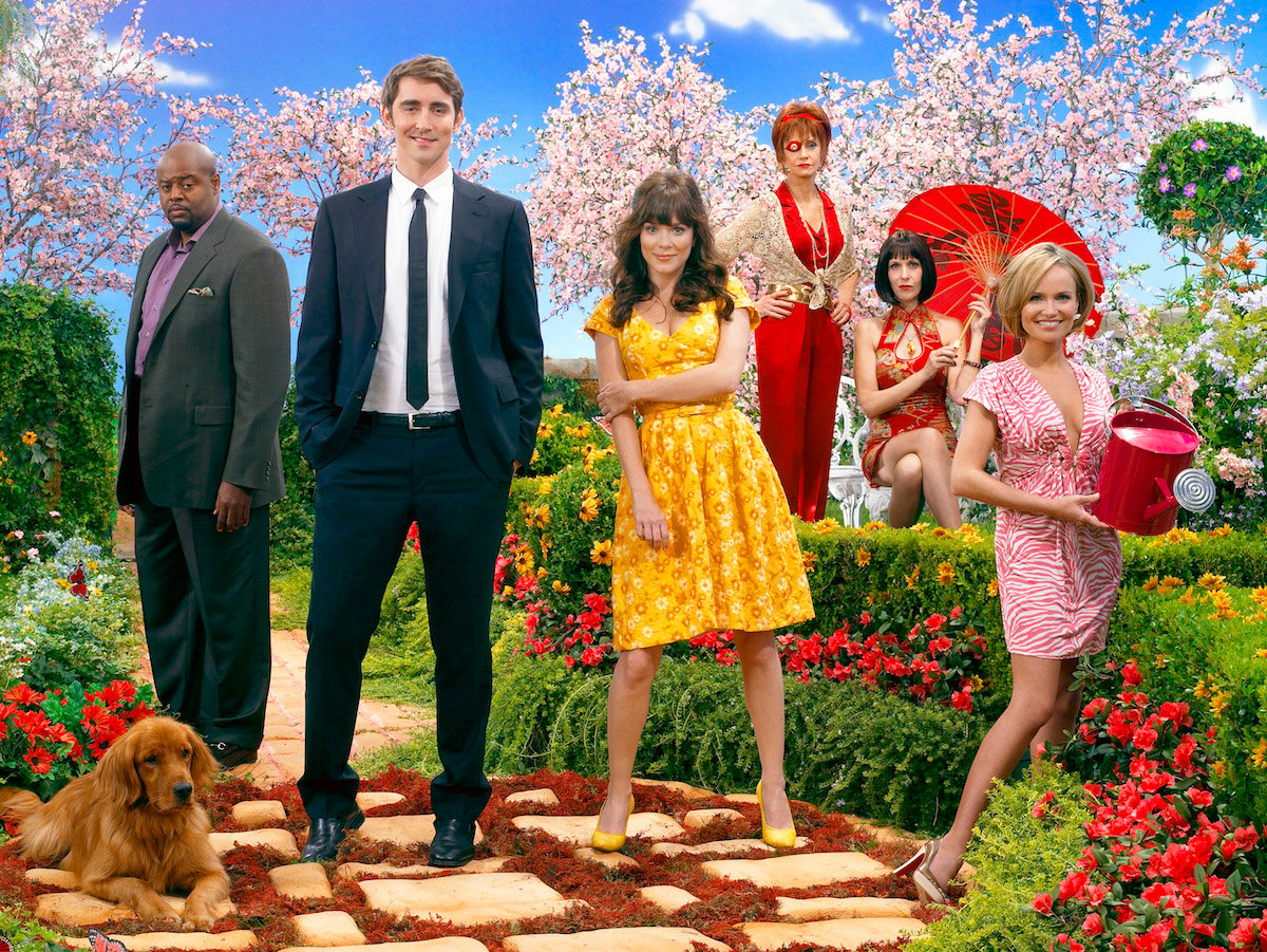 Is A Pushing Daisies Reboot Ever Happening 