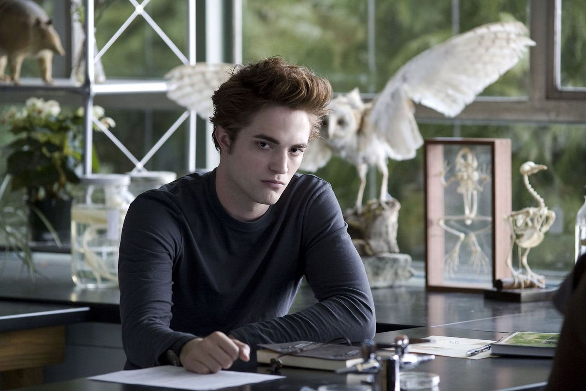 Twilight New Moon Edward Cullen 7 Action Figure 並行輸入