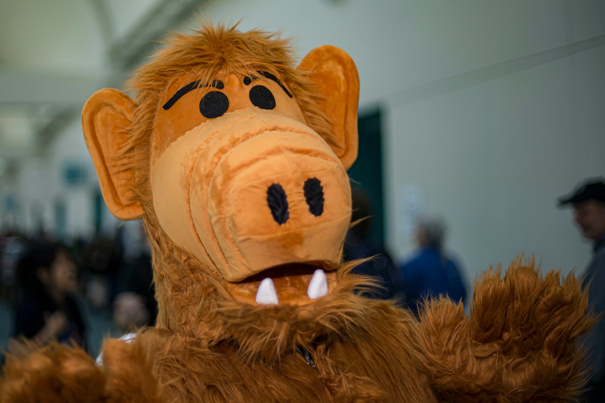 'ALF' Ended on a Cliffhanger That Wasn't Supposed to Be the Final Episode