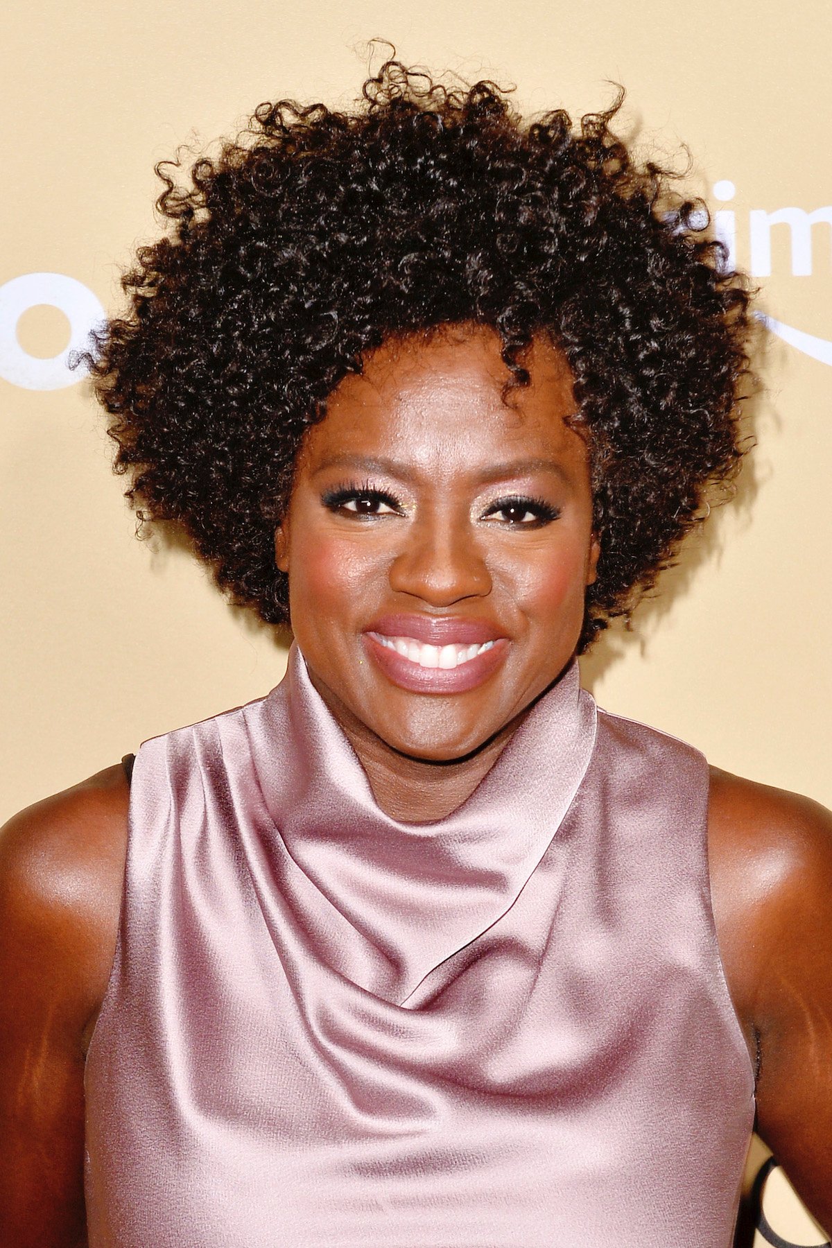 Viola Davis Is Starring in the Film Adaption of Terry McMillian's Book ...