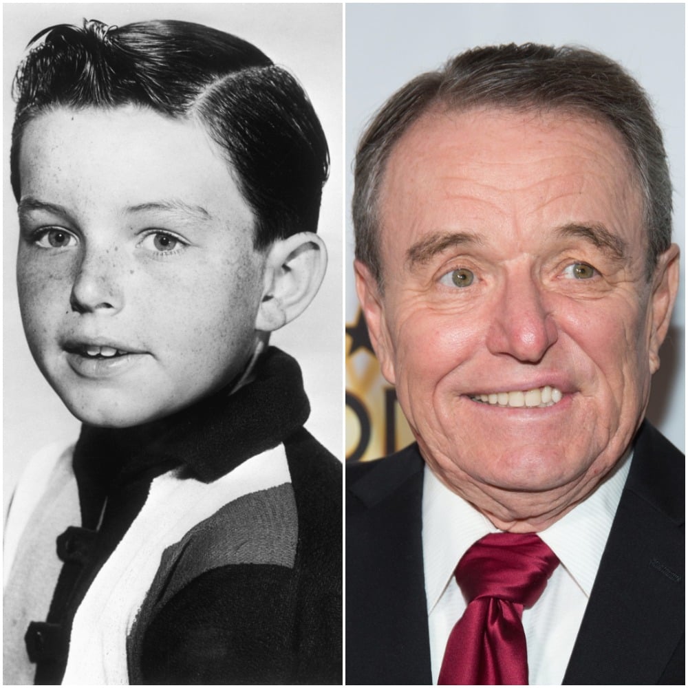 'Leave It to Beaver' What's 'Beaver Cleaver' Actor Jerry Mathers' Net