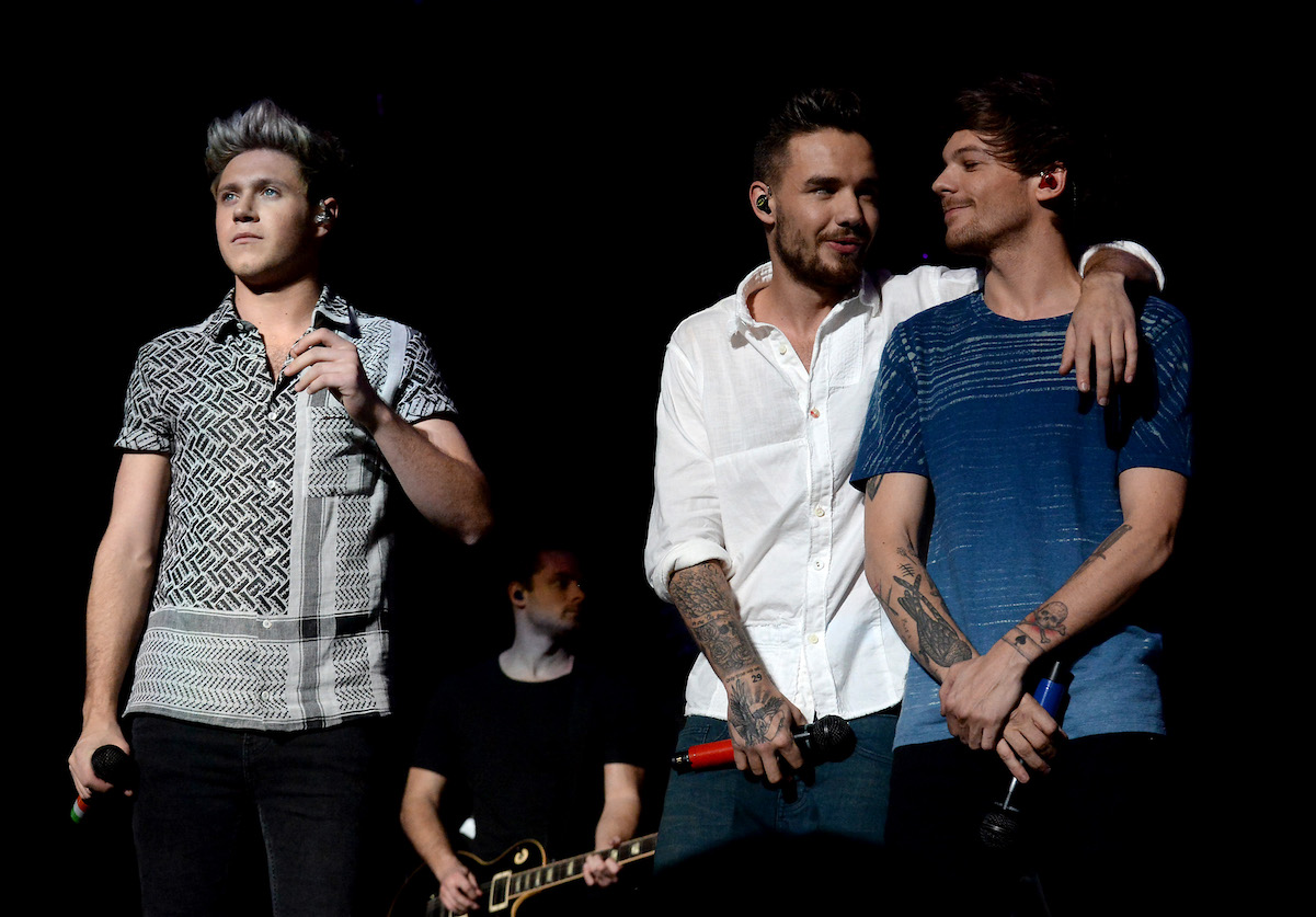 Louis Tomlinson says One Direction “found our own ways” to do