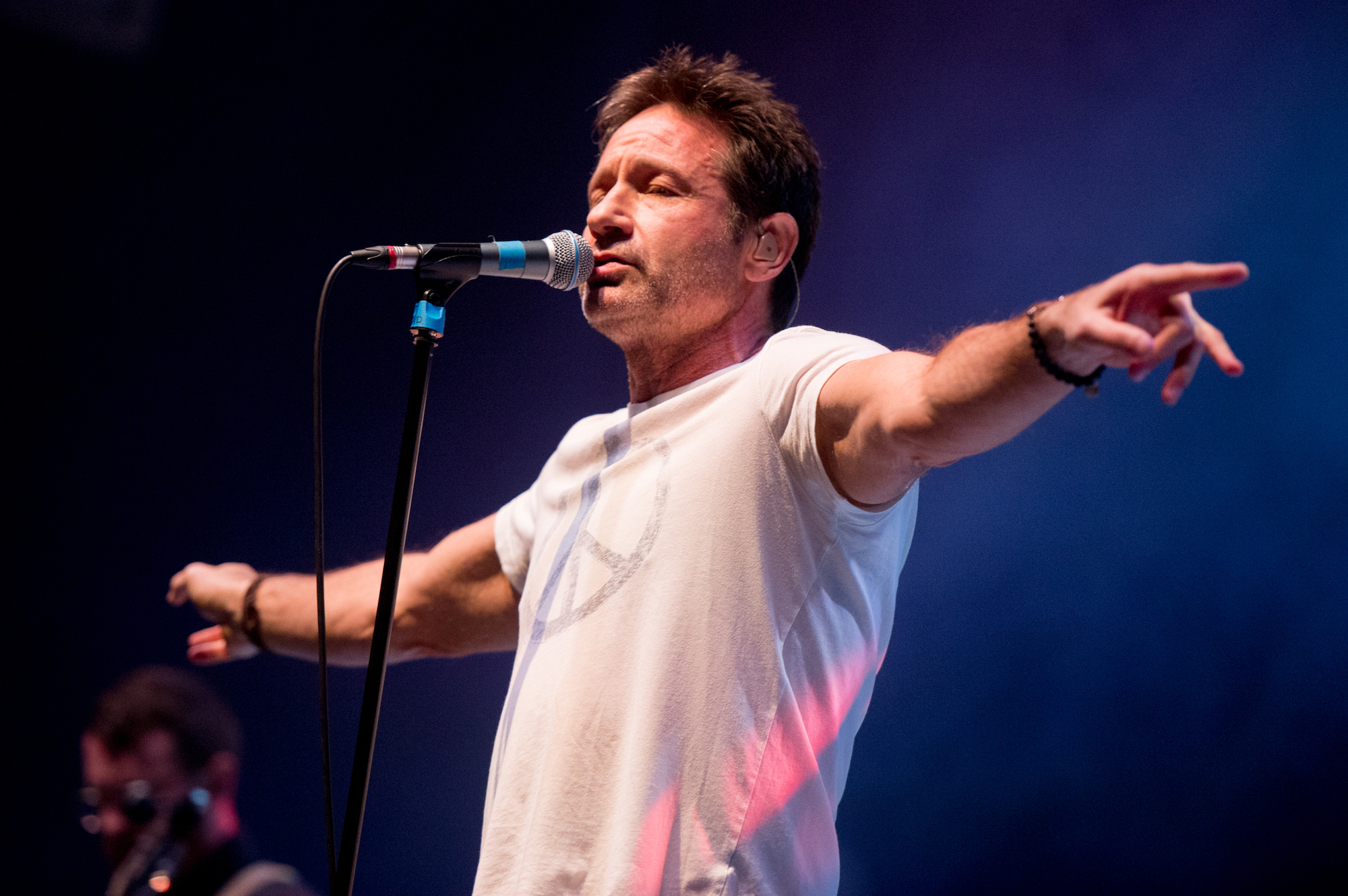 What Did David Duchovny Study at Princeton University?