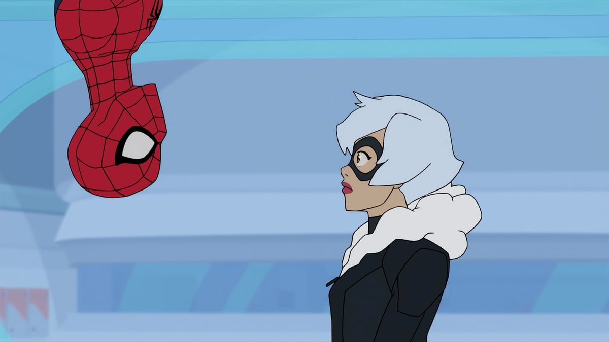 Spider-Man': The Case Against Felicia Hardy AKA Black Cat Joining the  Marvel Cinematic Universe
