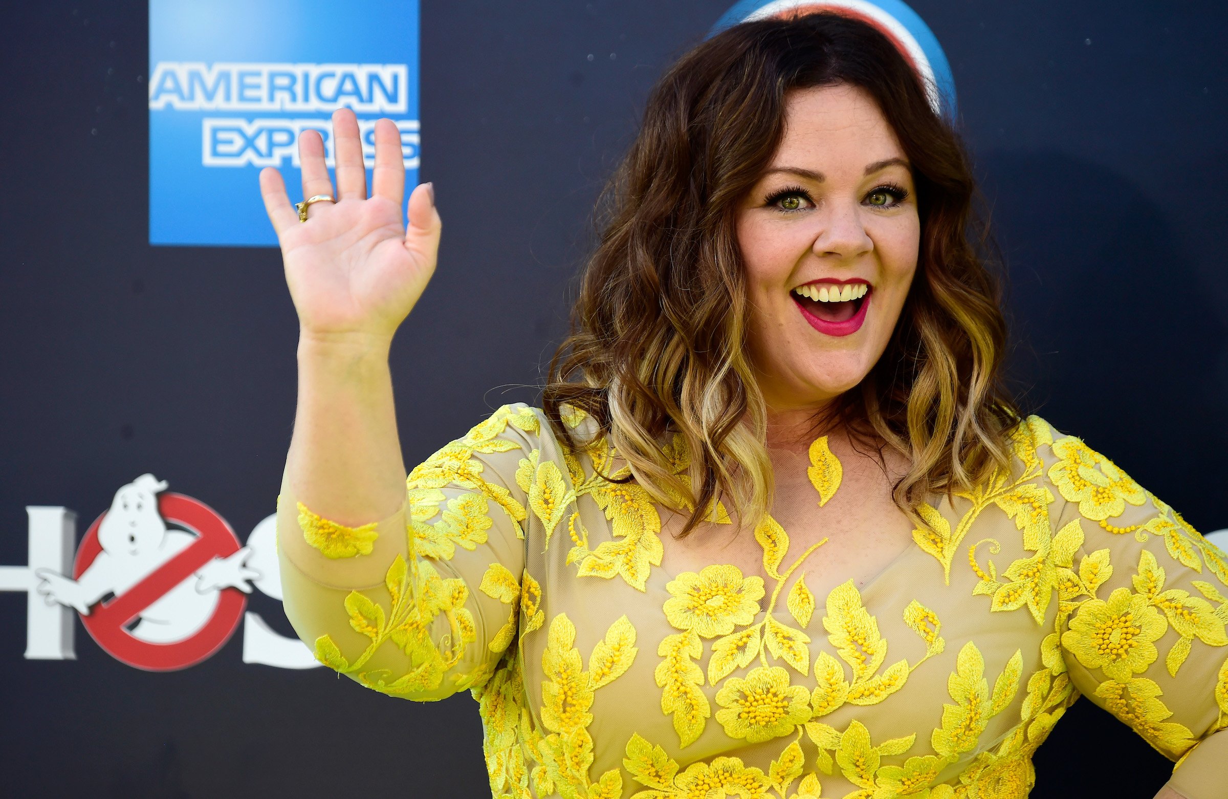 When to Stream the New Netflix Melissa McCarthy Movie 'The Starling'