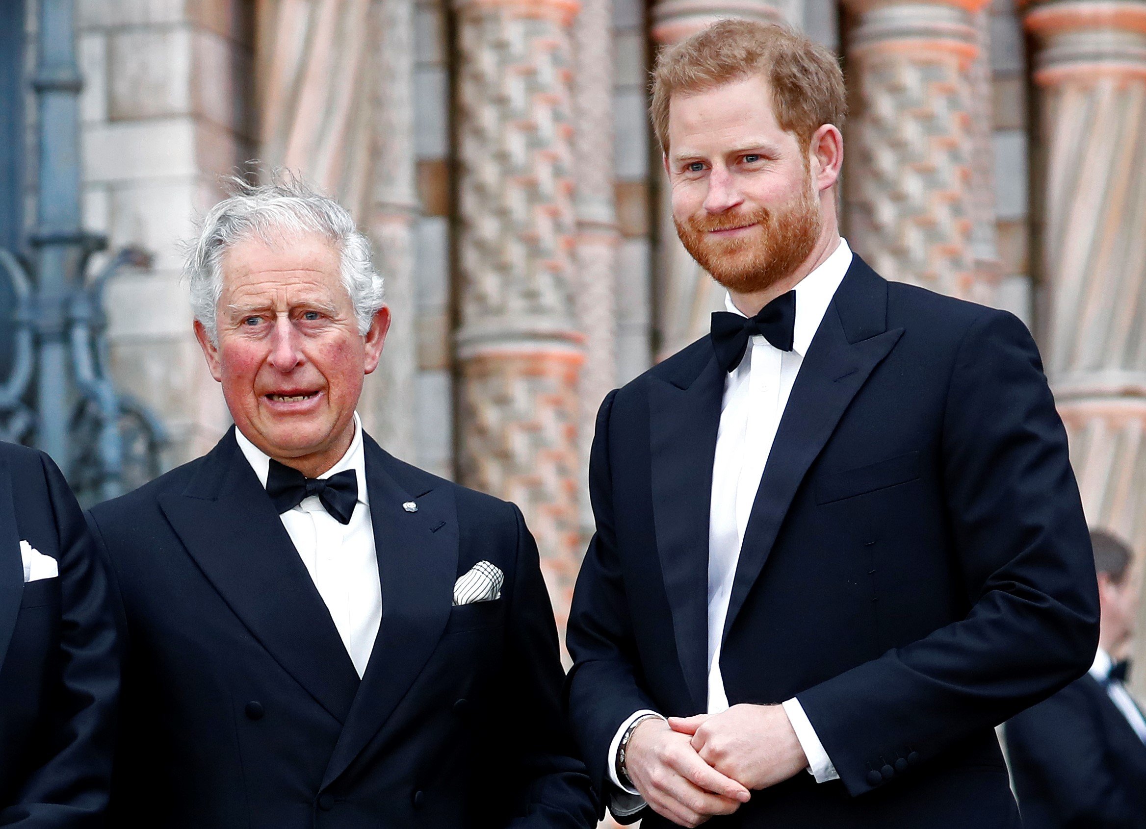 Prince Harry Thought Prince Charles 'Valued His Public Image' More Than ...