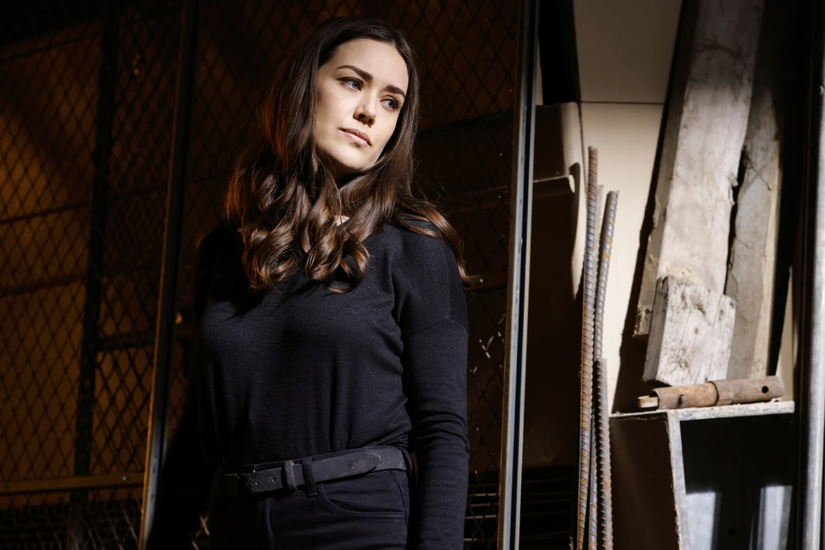  The Blacklist What Has Megan Boone Been Doing Since Leaving The Show 