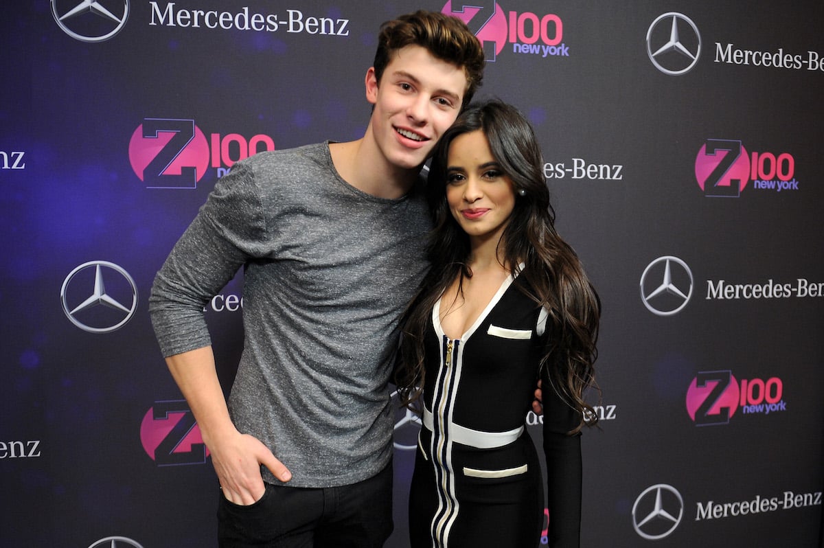 Camila Cabello Wrote Breakup Songs After Shawn Mendes Split
