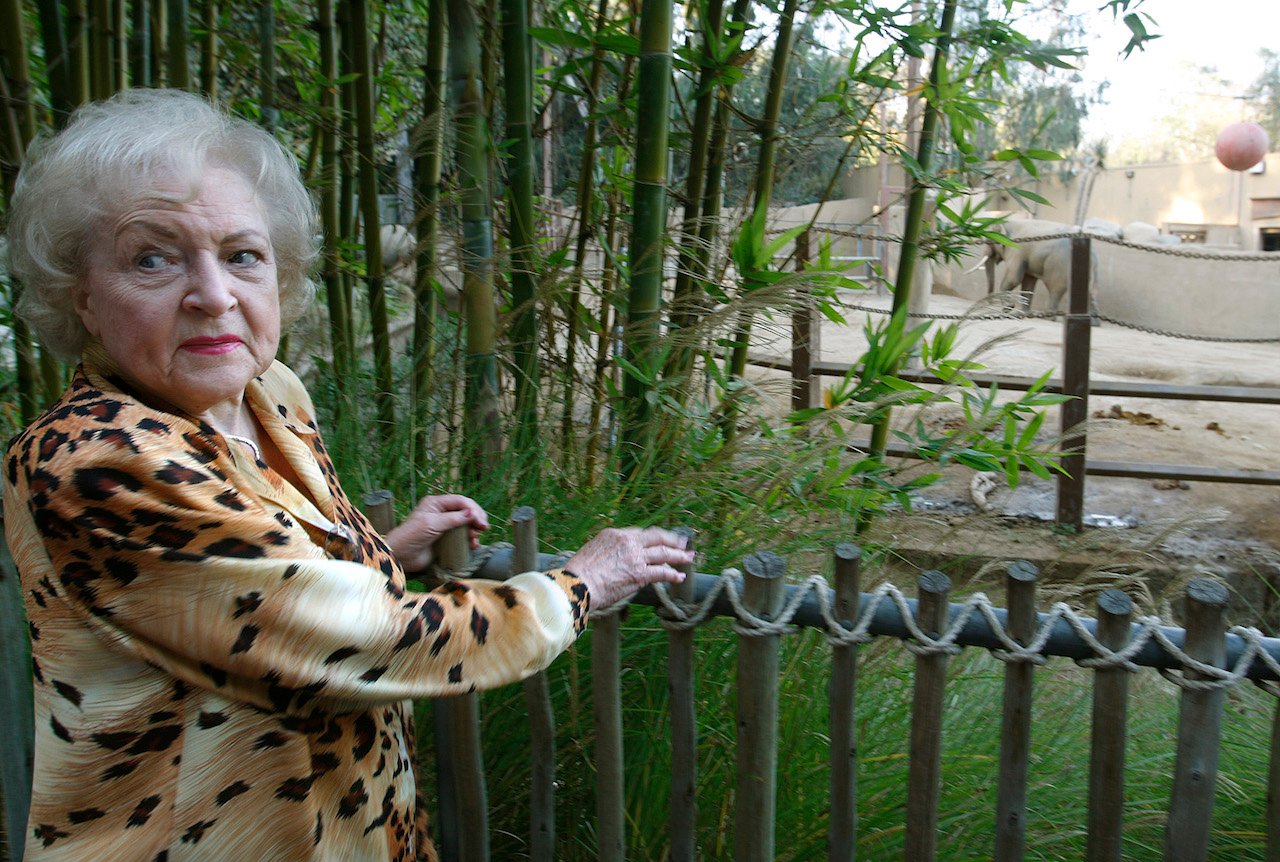 Betty White visits a zoo in 2008, looking over her shoulder as a she stands in front of an elephant habitat