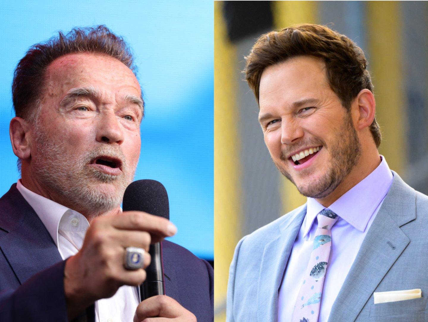 Chris Pratt Describes Arnold Schwarzenegger S Secret Skill That Shows His Sensitive Side