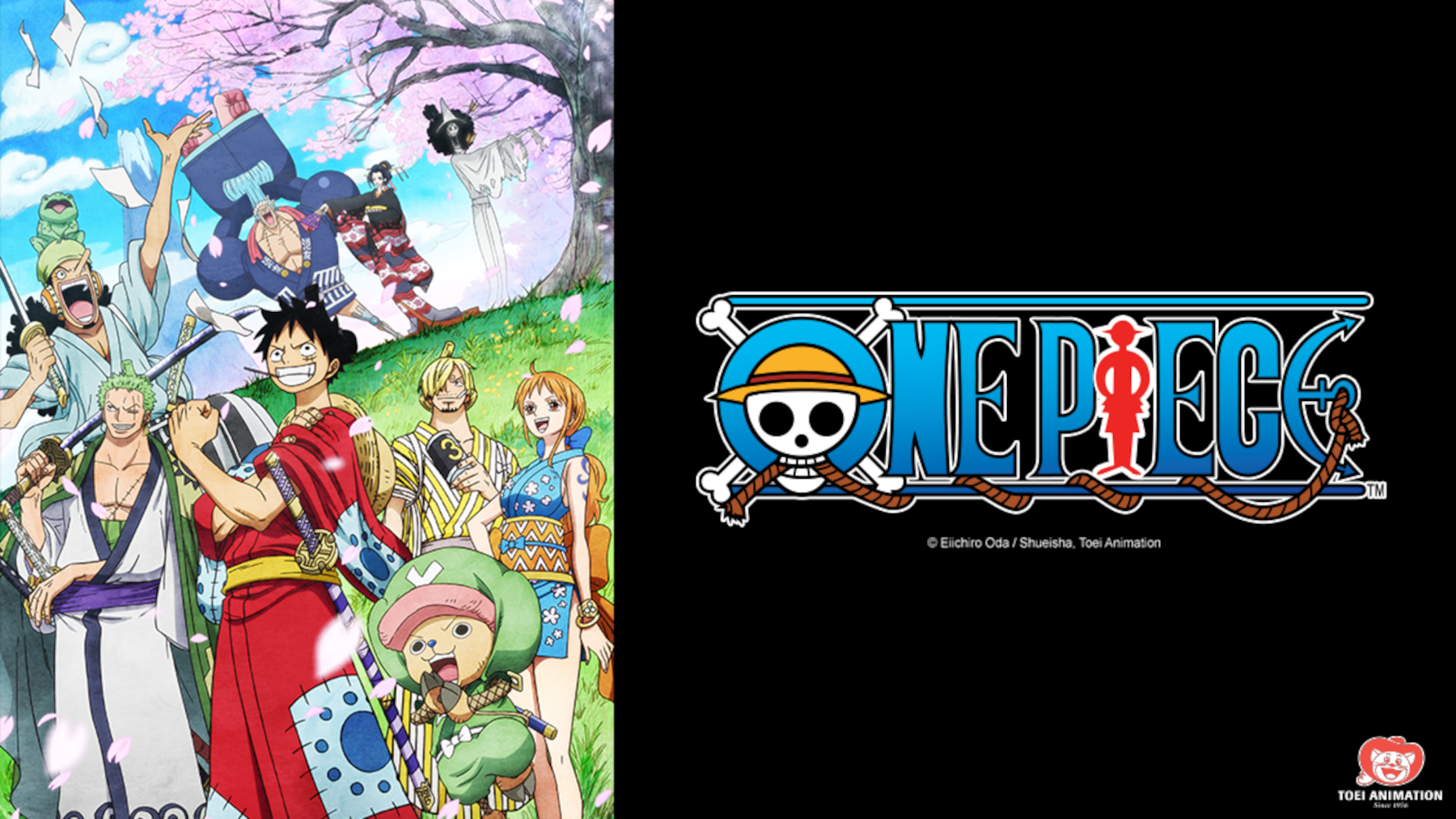 Top 10 Anime Like One Piece To Watch - YouTube