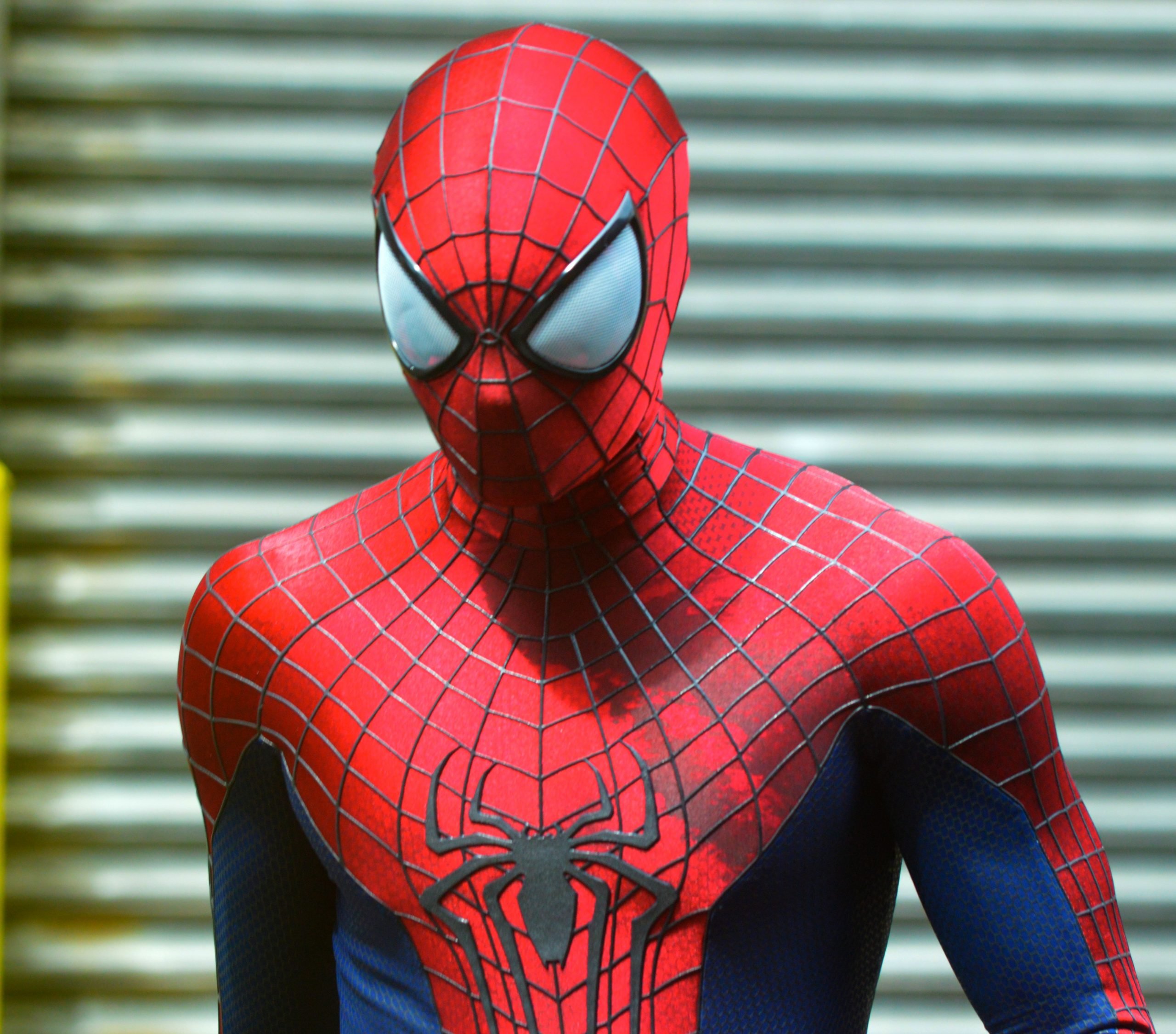Spider-Man | Articles and Latest News | Showbiz Cheat Sheet