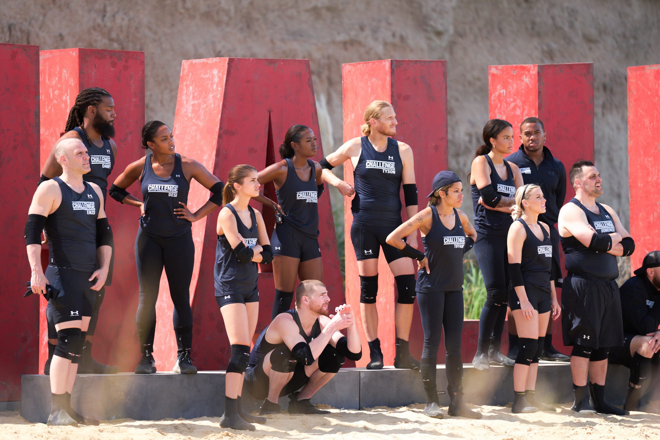 'The Challenge USA' Cast Which Contestants Won Other Reality Shows?