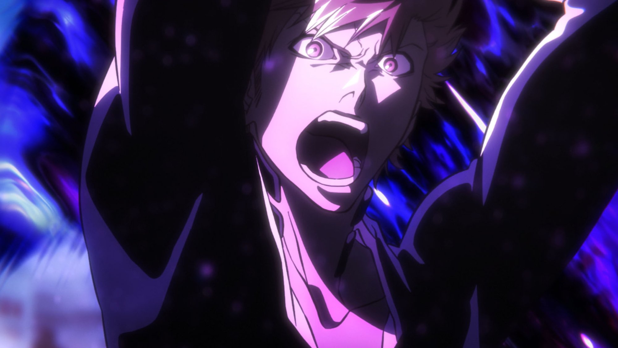 Bleach Final Arc: Anime Cancelled?