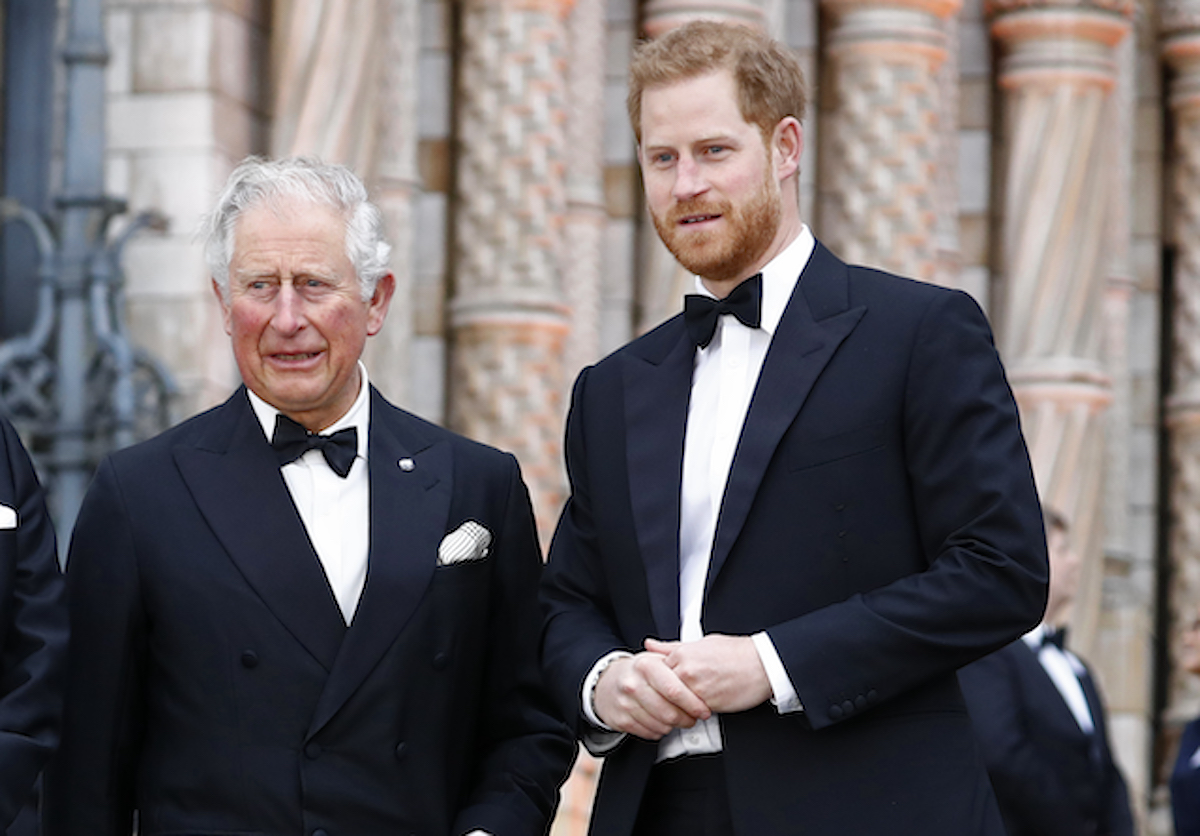 Royal Expert Says Prince Harry's Memoir Could 'Play out Very Well' for ...