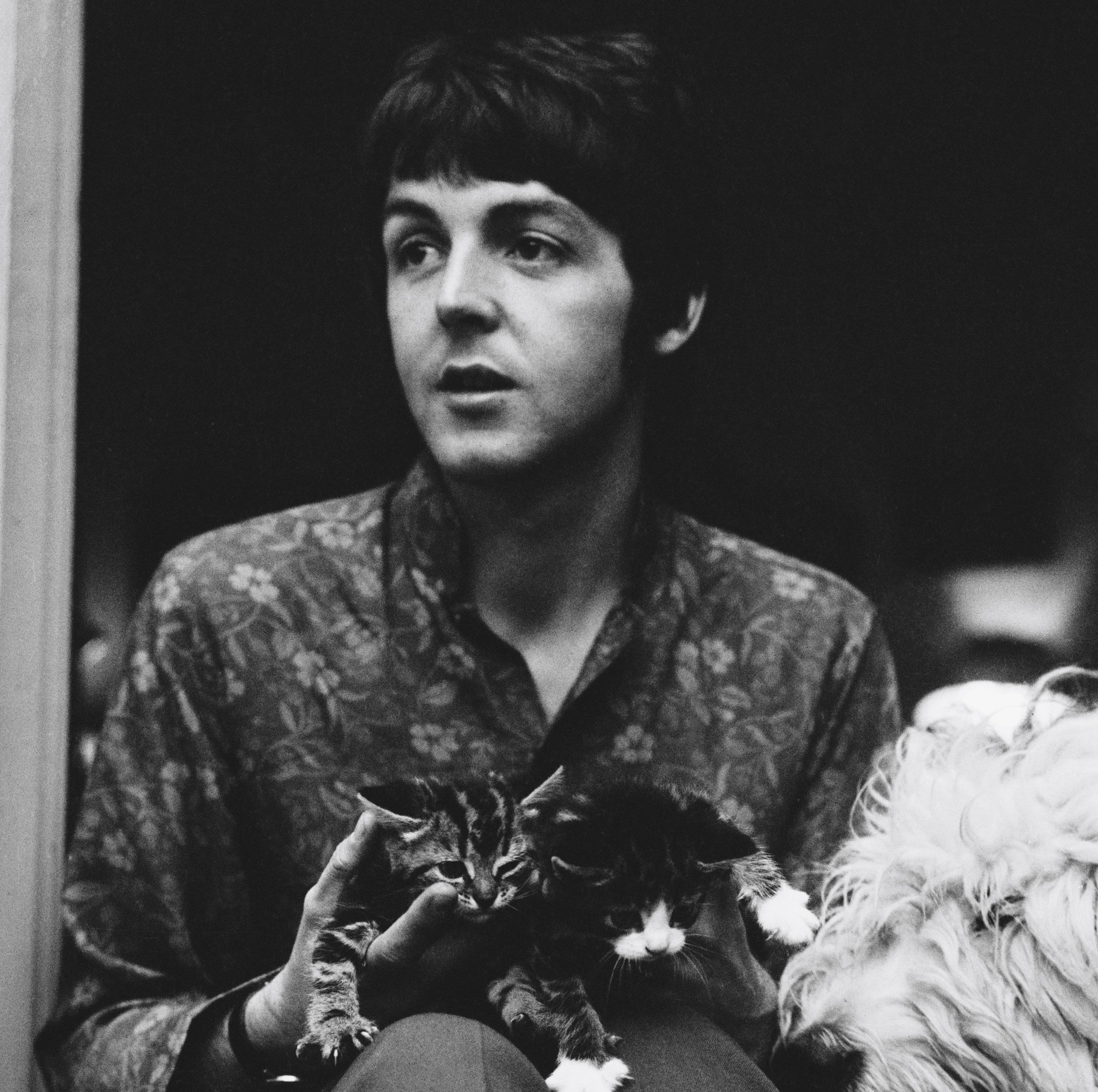 Paul McCartney with a dog during The Beatles' "Why Don't We Do It in the Road" era