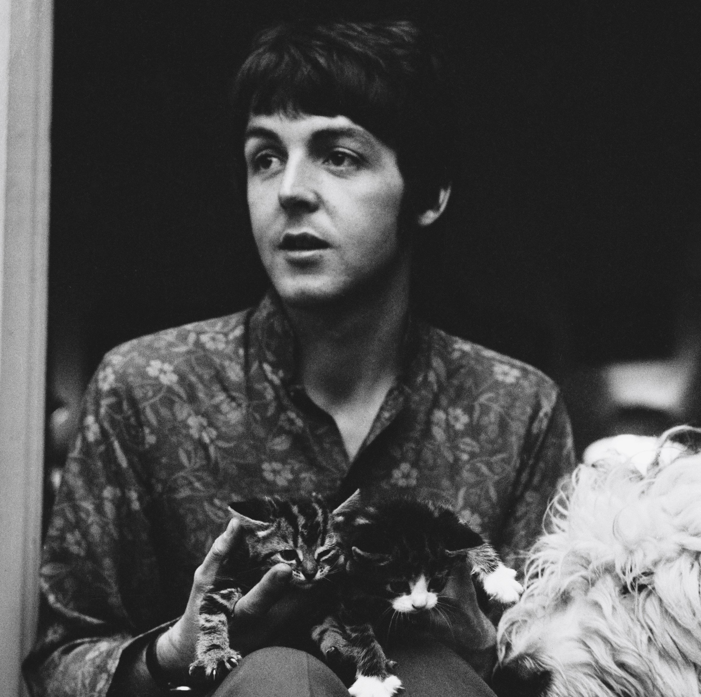 paul-mccartney-once-explained-the-inspiration-for-the-beatles-why-don-t-we-do-it-in-the-road