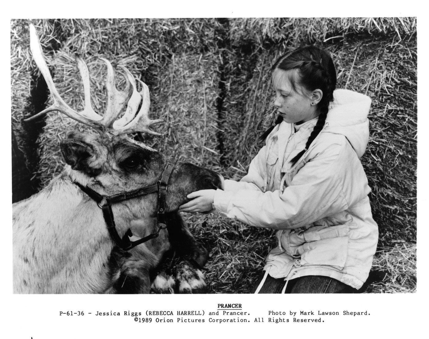 Rebecca Harrell Tickell holds a reindeer's face in her hands