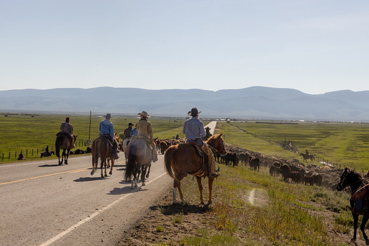 'Yellowstone' Season 5 Tribute to Timothy Reynolds, Explained