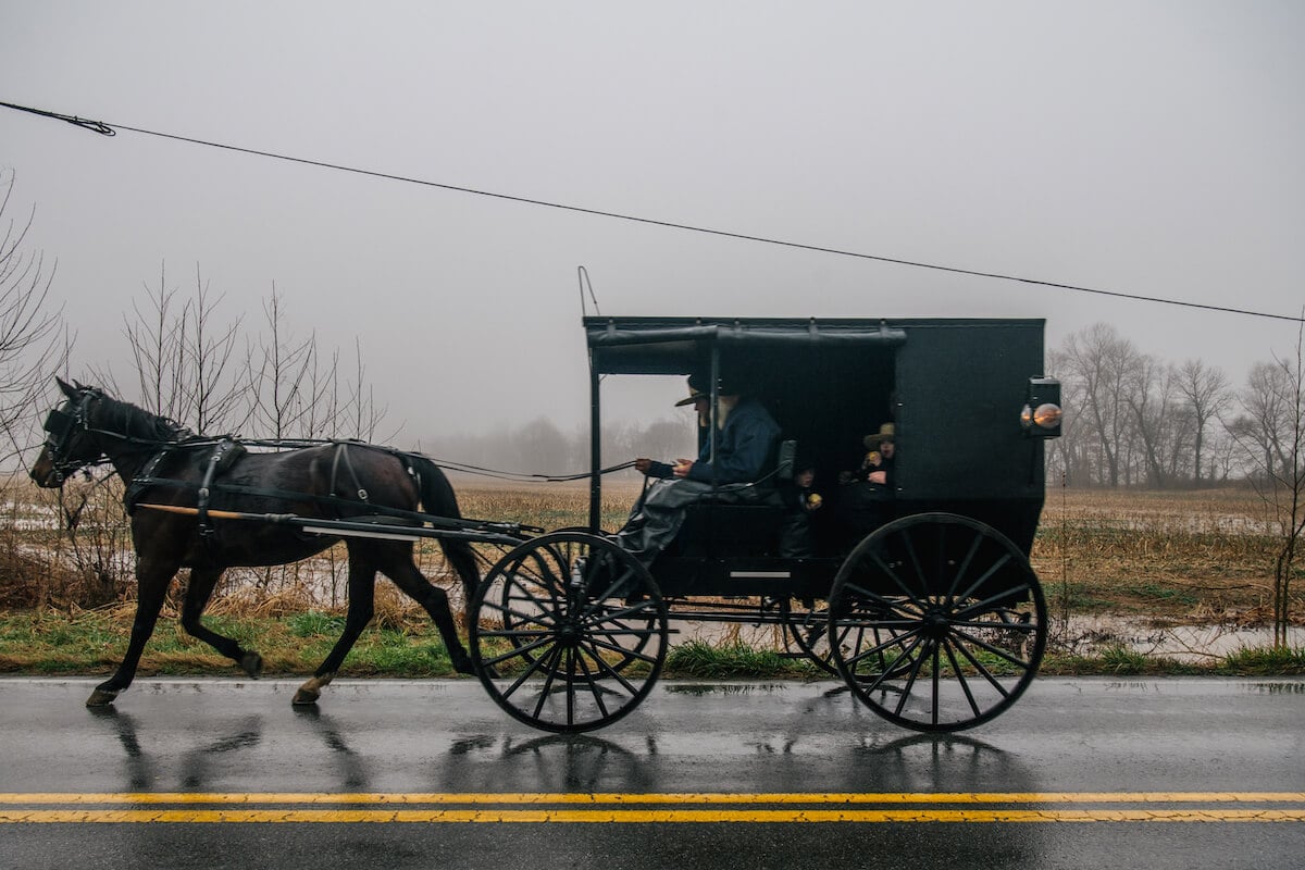 An Amish buggy, like one that might be seen on TLC's 'Return to Amish'