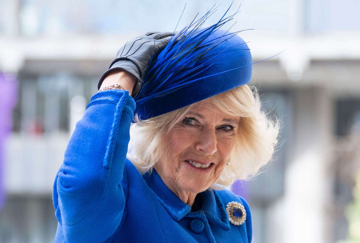 Camilla Parker Bowles, who appeared 'intensely nervous' at 2023 Commonwealth Day service, smiles and holds her hand on her hat