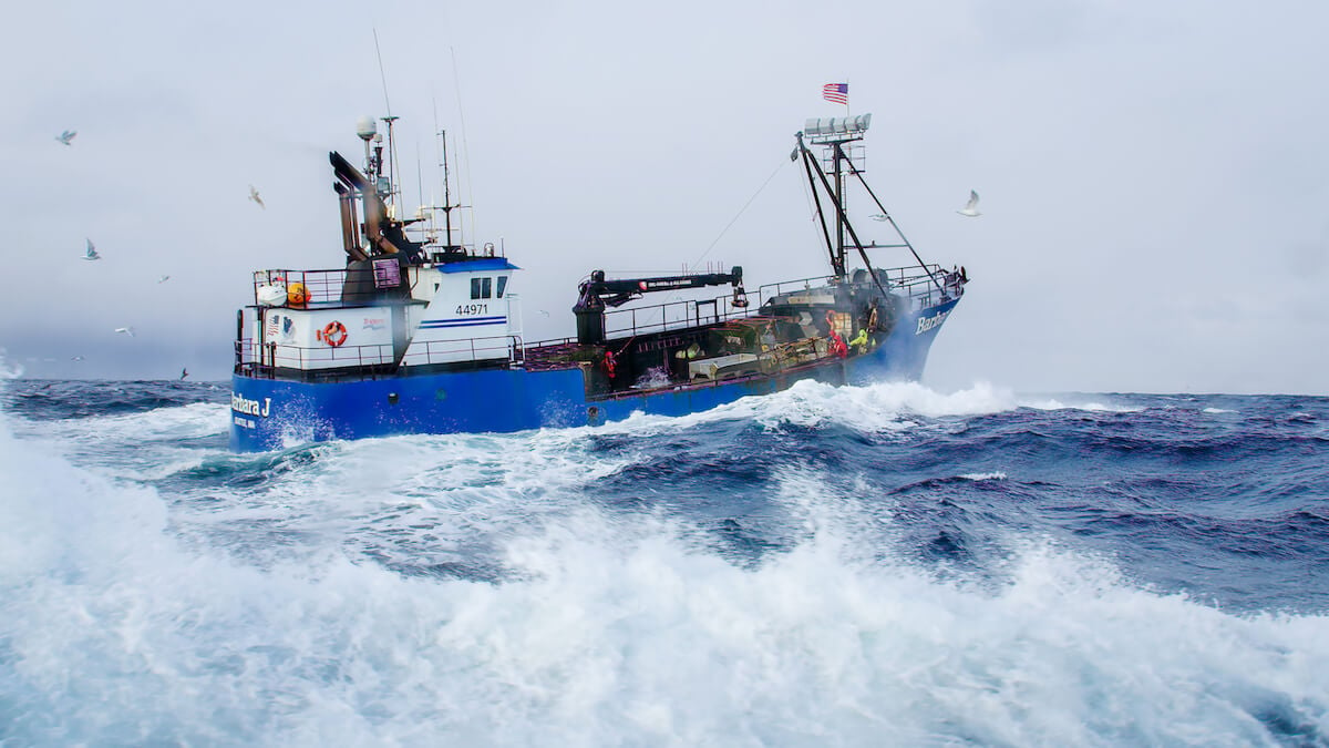 'Deadliest Catch' 2023: Premiere Date, Season 19 Captains, and More