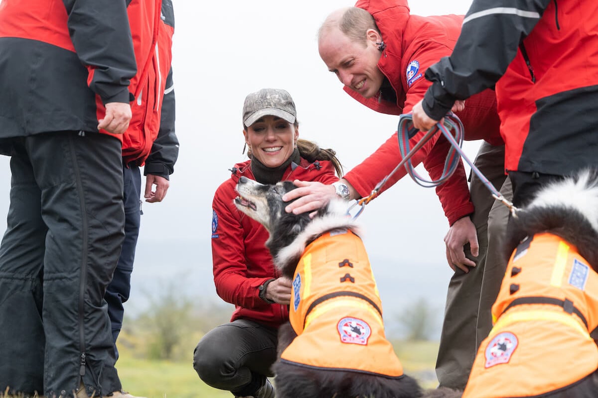 Kate Middleton’s ‘Impatience Is Clear’ in Wales Visit Moment ‘Any Dog-Lover’ Will Recognize, According to Body Language Expert