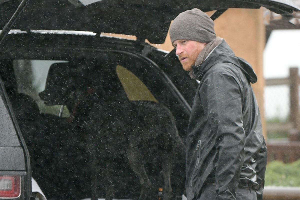 Prince Harry is seen out for a walk with his dog in Montecito, California