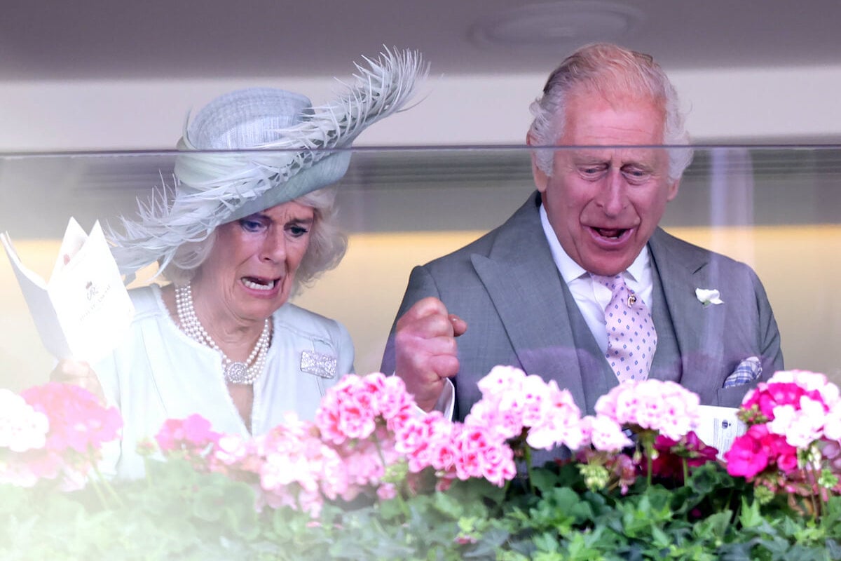 King Charles and Queen Camilla Revealed 'Hidden Side' With Royal Ascot ...