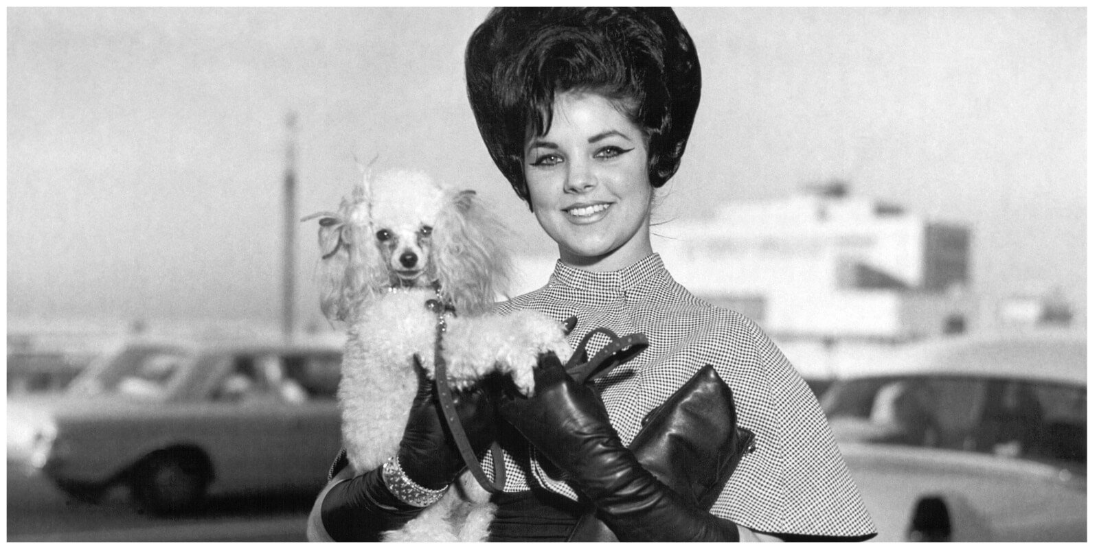 Priscilla Presley and her dog honey in January 1963, four months before graduating high school.